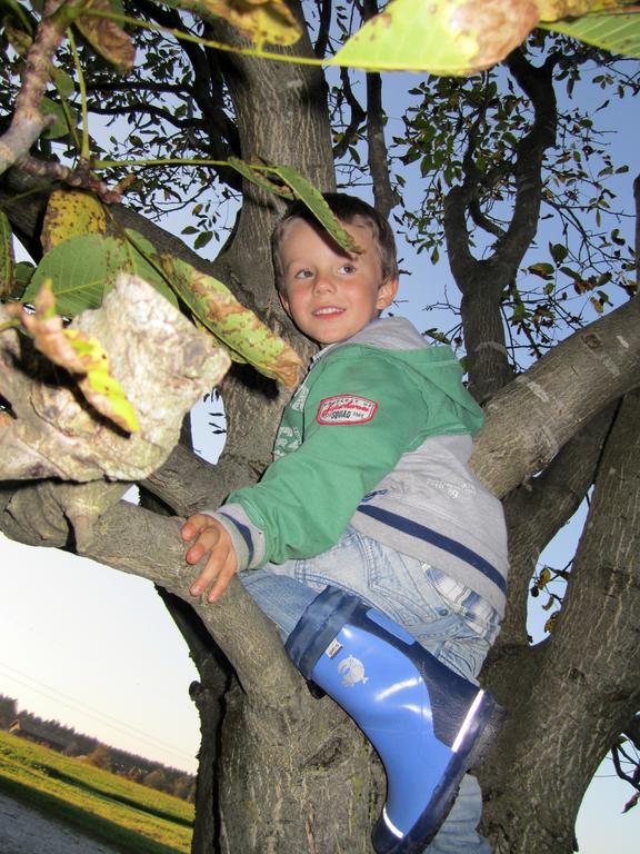 Baby- Und Kinderhof Aicherbauer Seeham Kültér fotó