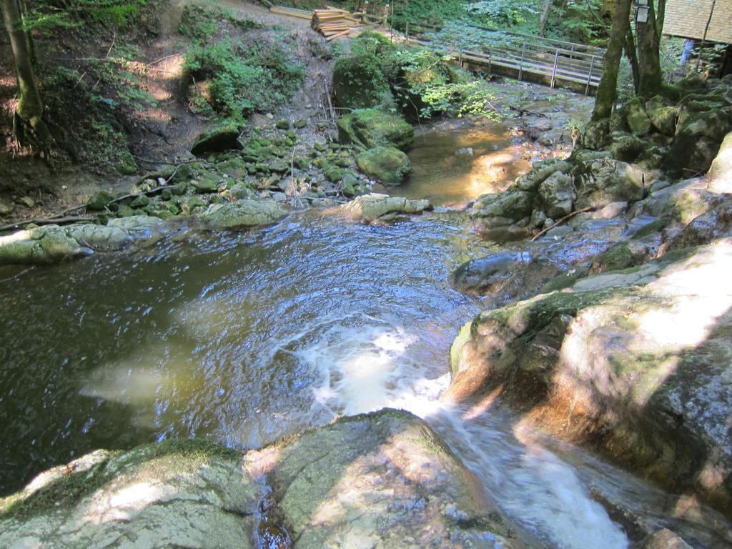 Baby- Und Kinderhof Aicherbauer Seeham Kültér fotó