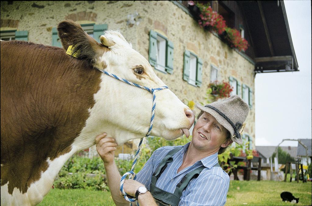 Baby- Und Kinderhof Aicherbauer Seeham Kültér fotó