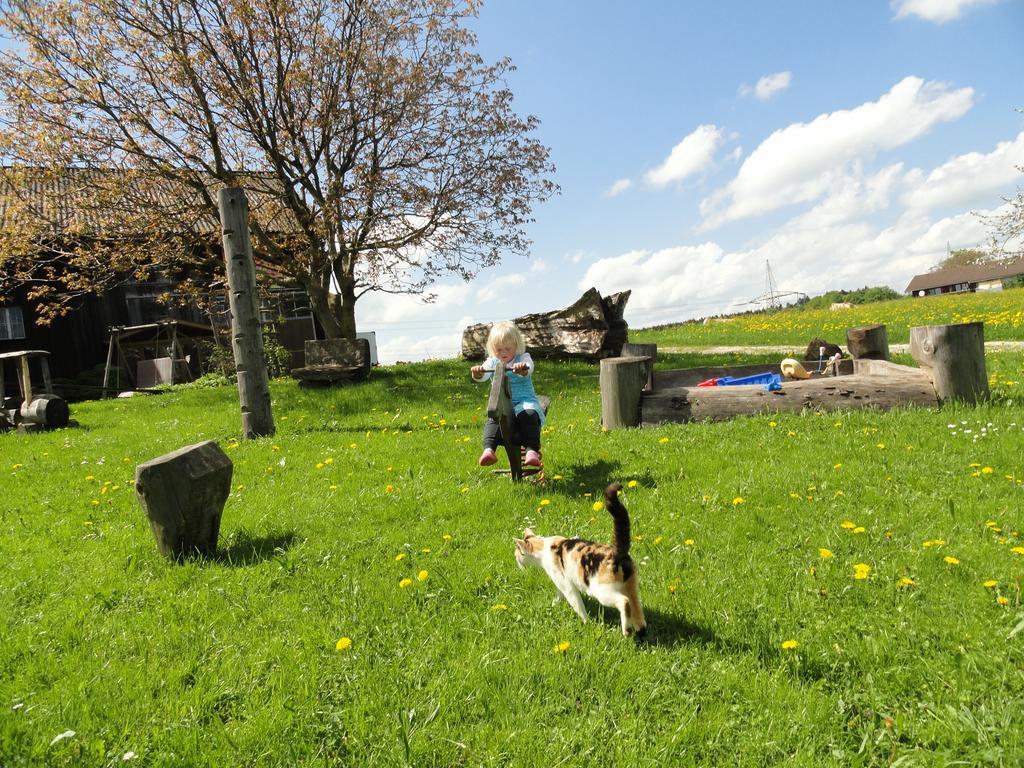 Baby- Und Kinderhof Aicherbauer Seeham Kültér fotó