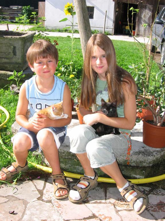 Baby- Und Kinderhof Aicherbauer Seeham Kültér fotó